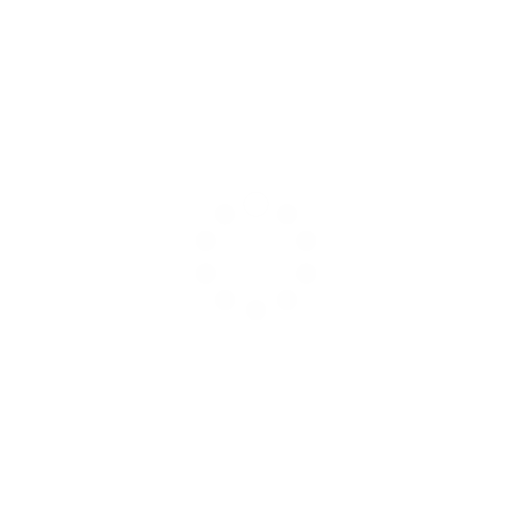 Memory Flip